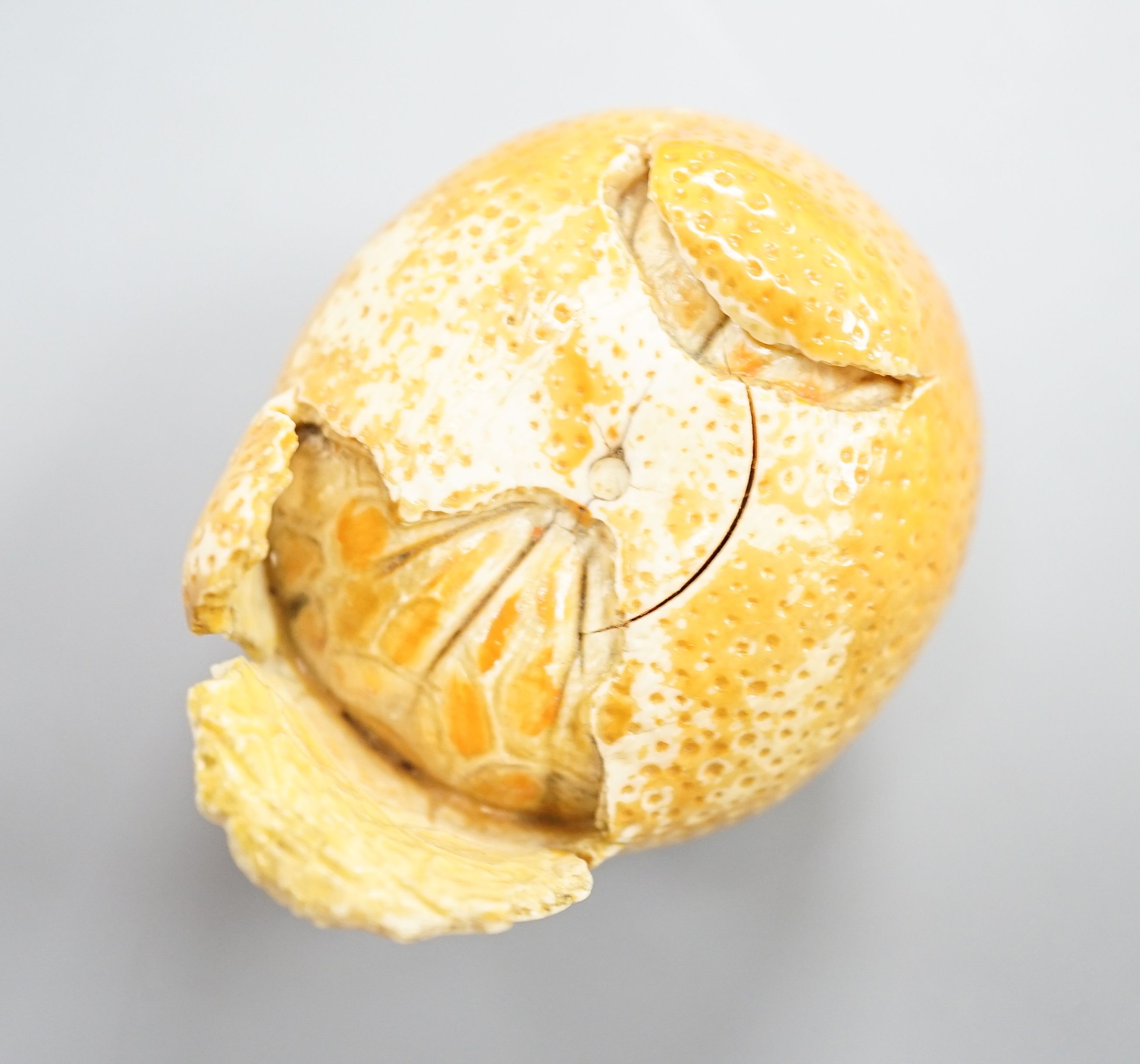 A Japanese carved ivory model of a partially peeled tangerine c.1900, 5cm